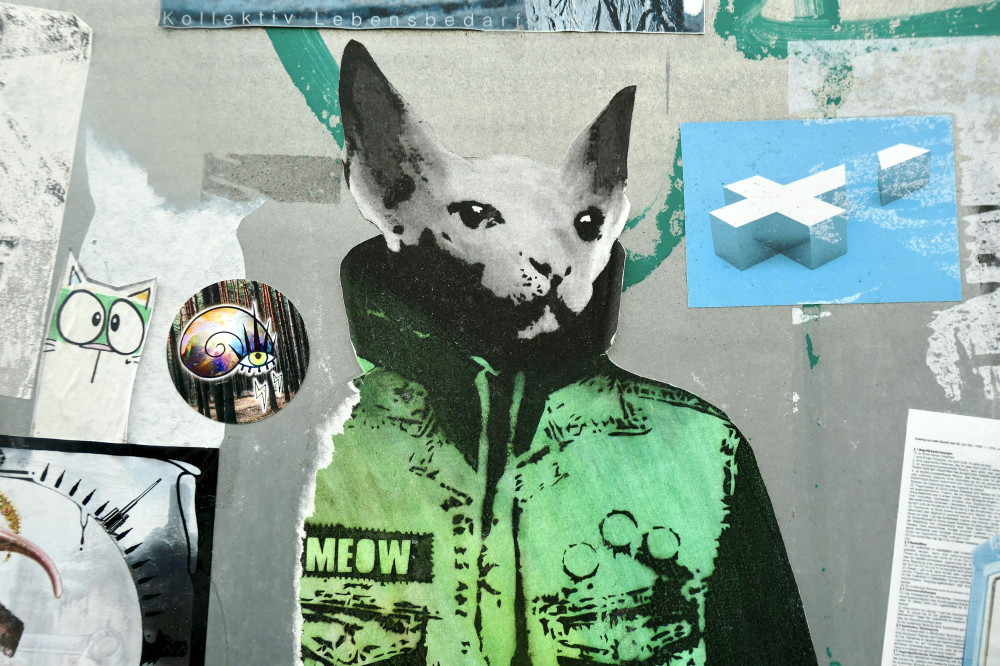 Inertia image. © Pexels