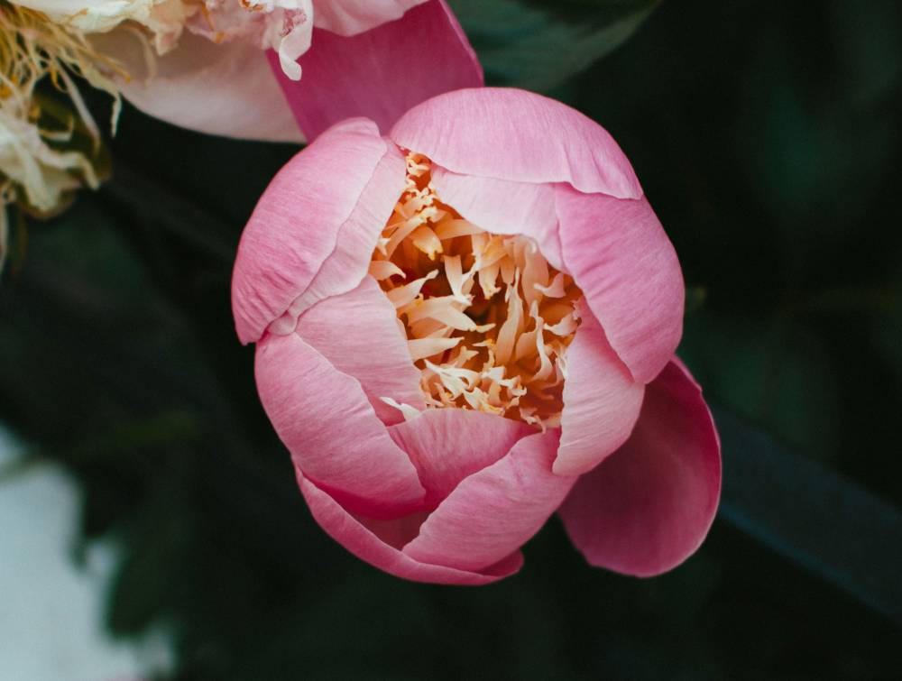Inertia image. © Pexels
